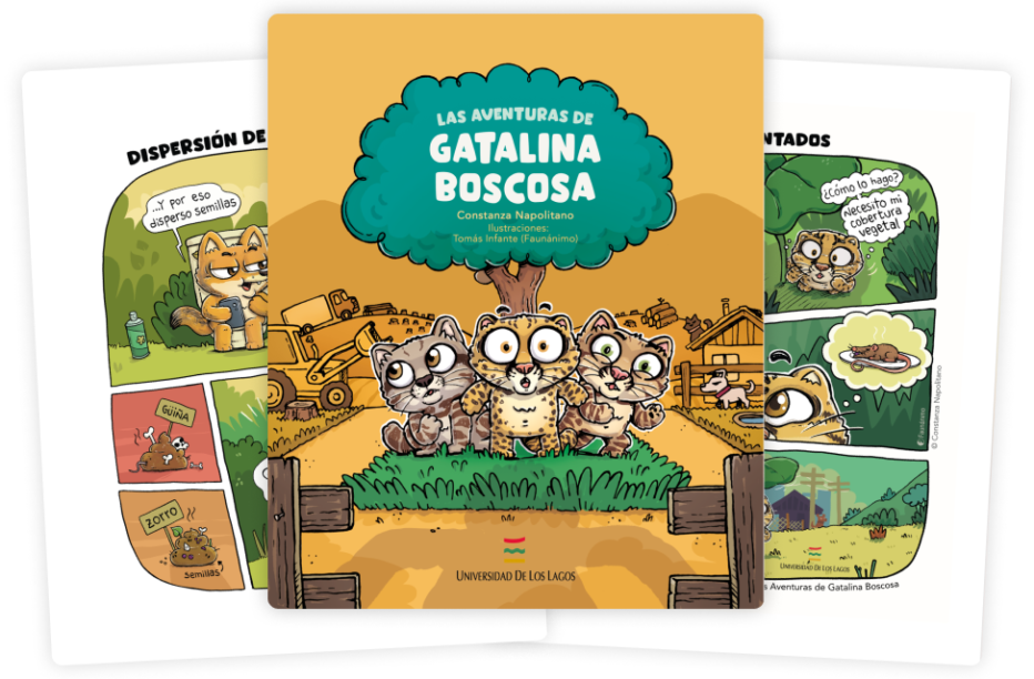 “Las Aventuras de Gatalina Boscosa”